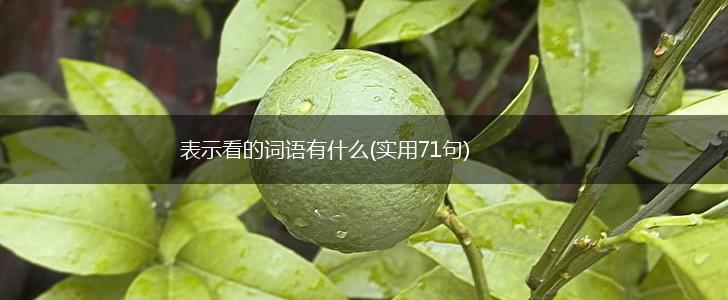 表示看的词语有什么(实用71句),第1张