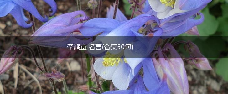 李鸿章 名言(合集50句),第1张