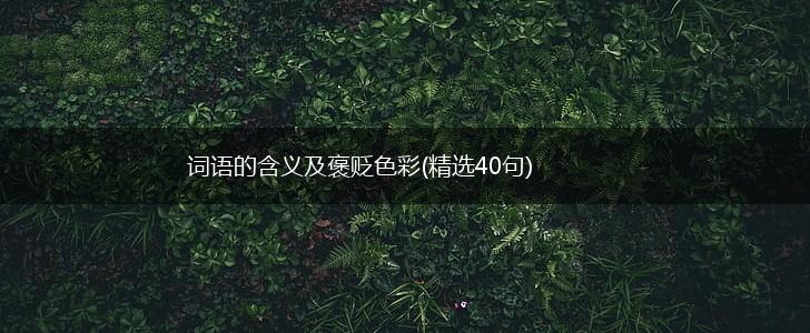 词语的含义及褒贬色彩(精选40句),第1张