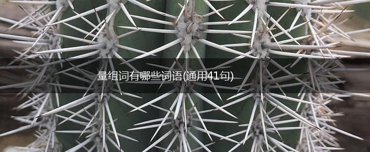 量组词有哪些词语(通用41句),第1张
