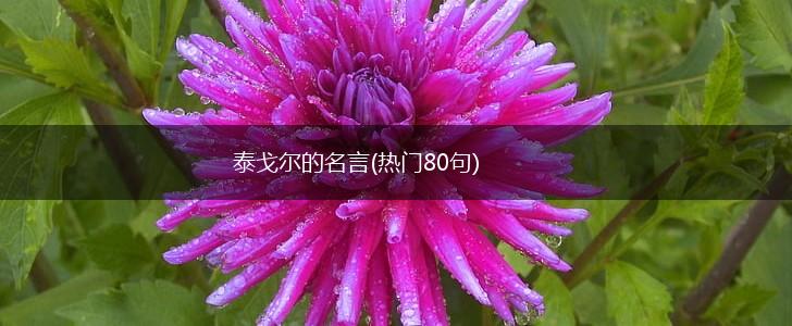 泰戈尔的名言(热门80句),第1张