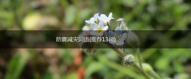 防震减灾词语(推荐13句),第1张 防震减灾词语(推荐13句),第1张