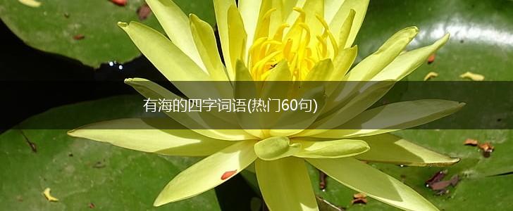 有海的四字词语(热门60句),第1张