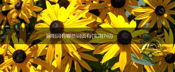 遍组词有哪些词语有(实用7句),第1张