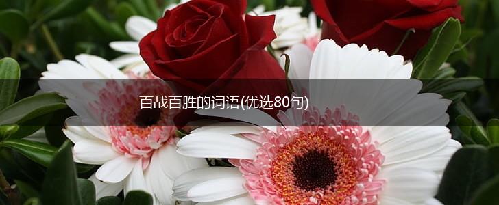 百战百胜的词语(优选80句),第1张