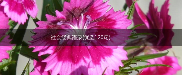 社会经典语录(优选120句),第1张