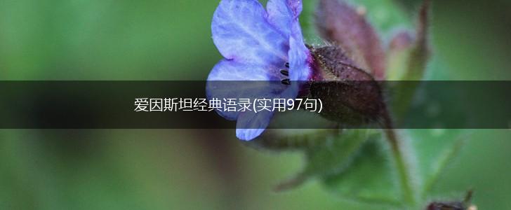 爱因斯坦经典语录(实用97句),第1张