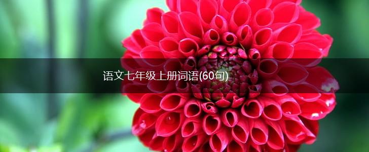 语文七年级上册词语(60句),第1张