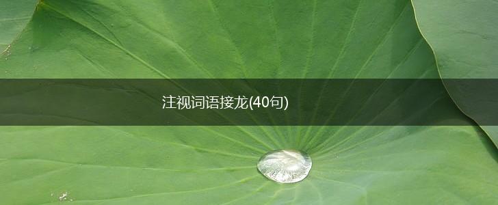 注视词语接龙(40句),第1张