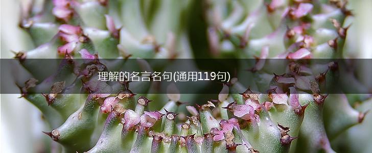 理解的名言名句(通用119句),第1张