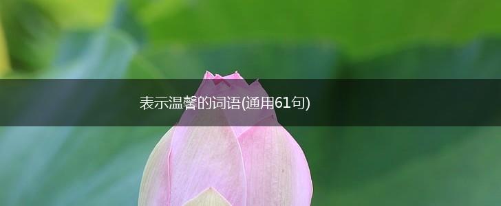 表示温馨的词语(通用61句),第1张