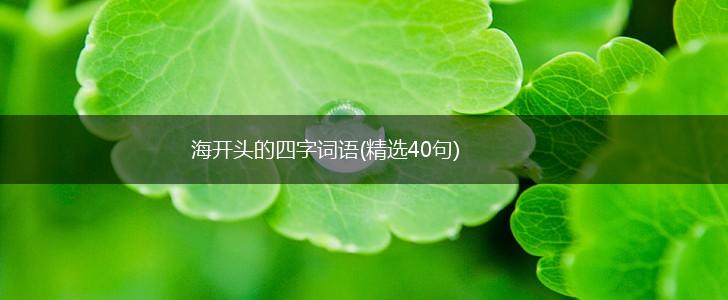 海开头的四字词语(精选40句),第1张