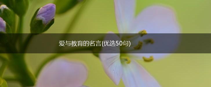 爱与教育的名言(优选50句),第1张 爱与教育的名言(优选50句),第1张