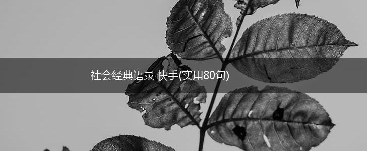 社会经典语录 快手(实用80句),第1张