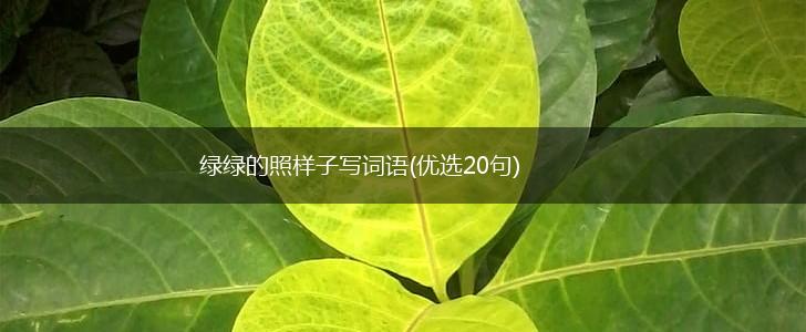 绿绿的照样子写词语(优选20句),第1张