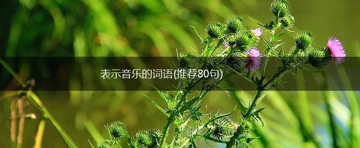 表示音乐的词语(推荐80句),第1张