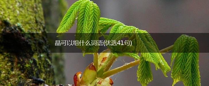 晶可以组什么词语(优选41句),第1张