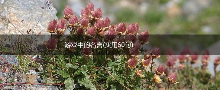 游戏中的名言(实用60句),第1张