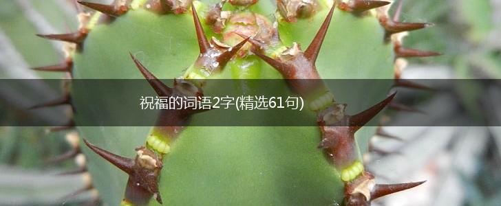 祝福的词语2字(精选61句),第1张