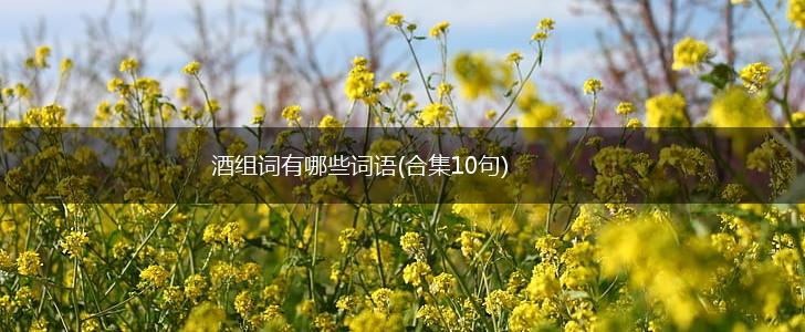 酒组词有哪些词语(合集10句),第1张