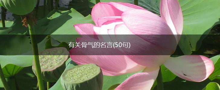 有关骨气的名言(50句),第1张