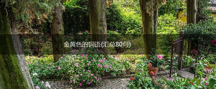 金黄色的词语(汇总80句),第1张