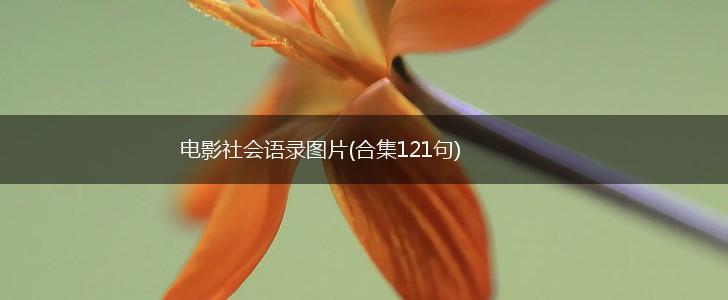 电影社会语录图片(合集121句),第1张