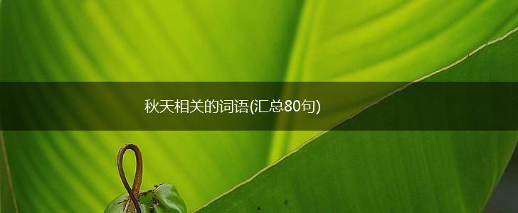秋天相关的词语(汇总80句),第1张