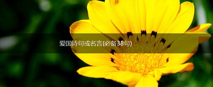 爱国诗句或名言(必备38句),第1张