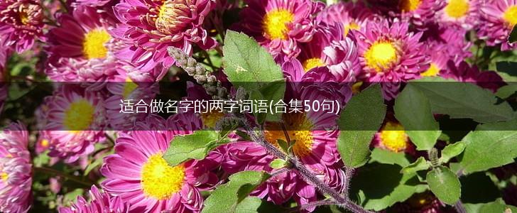 适合做名字的两字词语(合集50句),第1张 适合做名字的两字词语(合集50句),第1张