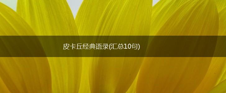 皮卡丘经典语录(汇总10句),第1张