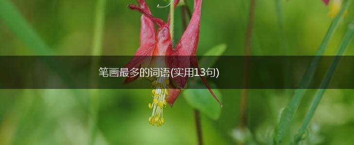 笔画最多的词语(实用13句),第1张