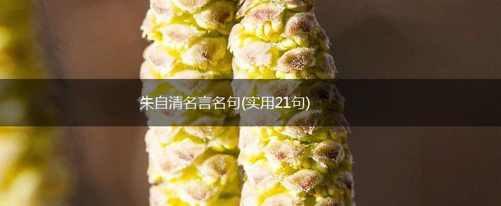 朱自清名言名句(实用21句),第1张