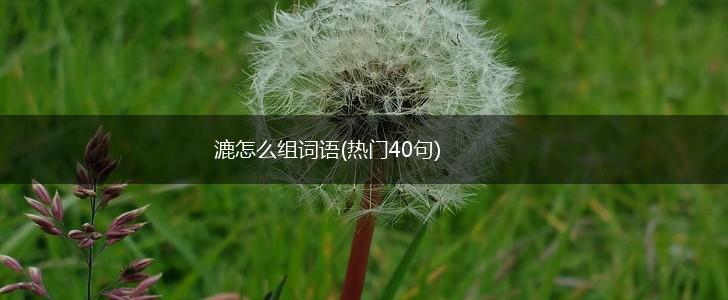 漉怎么组词语(热门40句),第1张