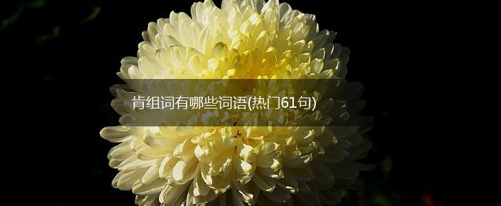 肯组词有哪些词语(热门61句),第1张