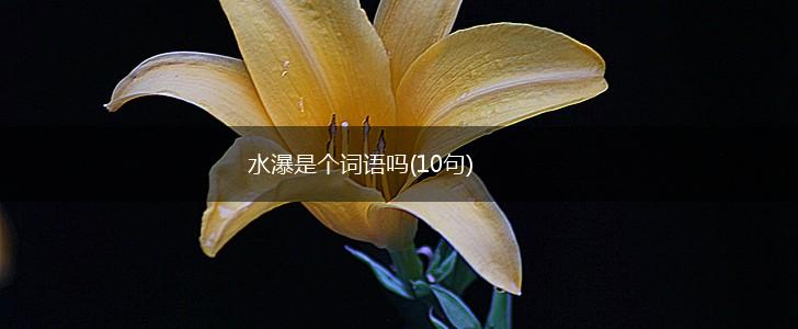水瀑是个词语吗(10句),第1张