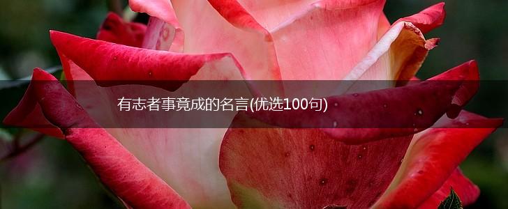 有志者事竟成的名言(优选100句),第1张