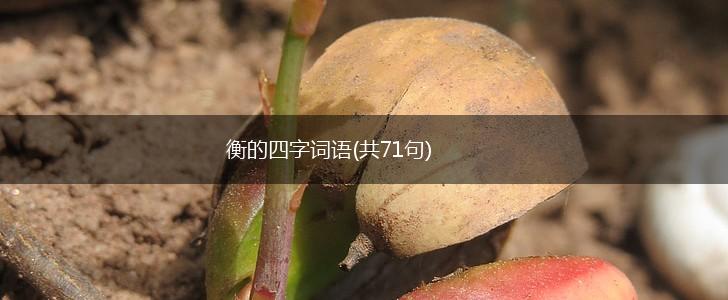 衡的四字词语(共71句),第1张