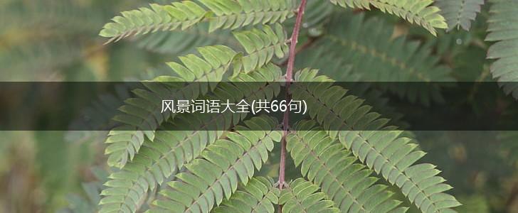 风景词语大全(共66句),第1张