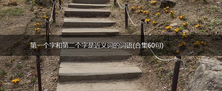 第一个字和第二个字是近义词的词语(合集60句),第1张