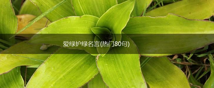 爱绿护绿名言(热门80句),第1张 爱绿护绿名言(热门80句),第1张