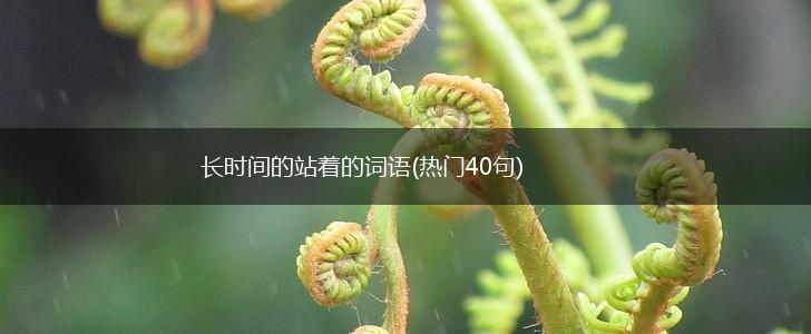 长时间的站着的词语(热门40句),第1张 长时间的站着的词语(热门40句),第1张