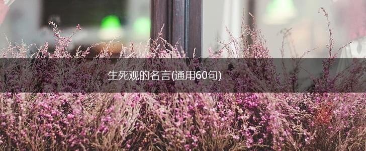 生死观的名言(通用60句),第1张