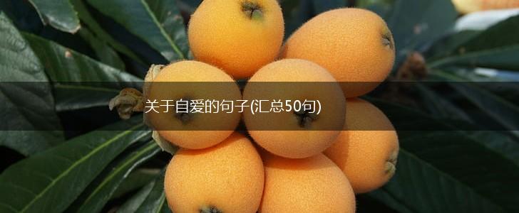 关于自爱的句子(汇总50句),第1张