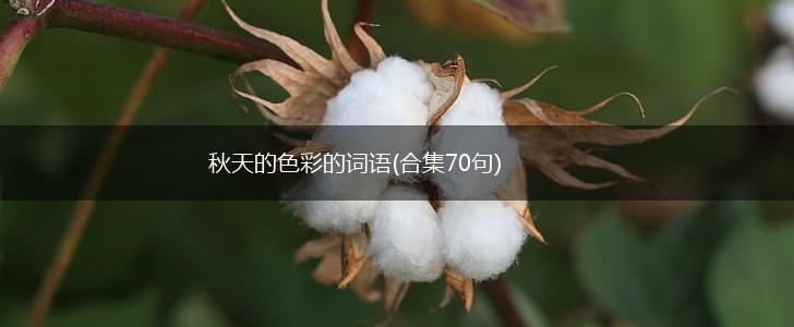 秋天的色彩的词语(合集70句),第1张