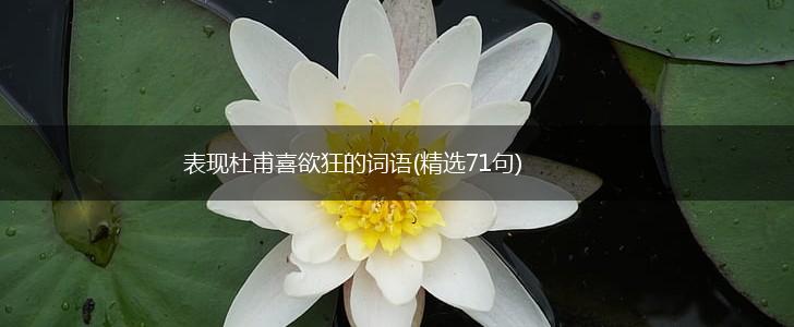 表现杜甫喜欲狂的词语(精选71句),第1张