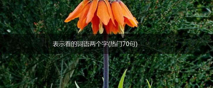 表示看的词语两个字(热门70句),第1张 表示看的词语两个字(热门70句),第1张