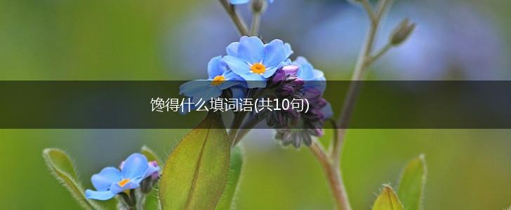 馋得什么填词语(共10句),第1张