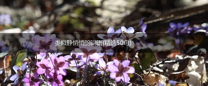 类似静悄悄的词语(精选50句),第1张 类似静悄悄的词语(精选50句),第1张