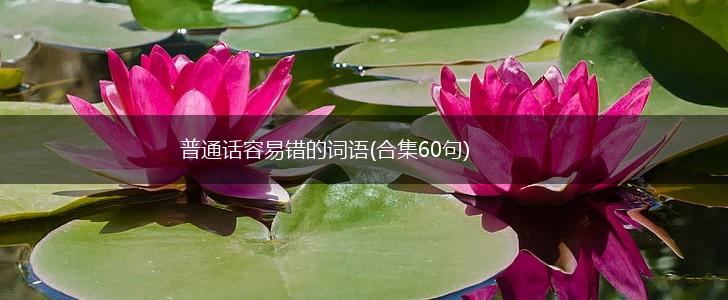 普通话容易错的词语(合集60句),第1张